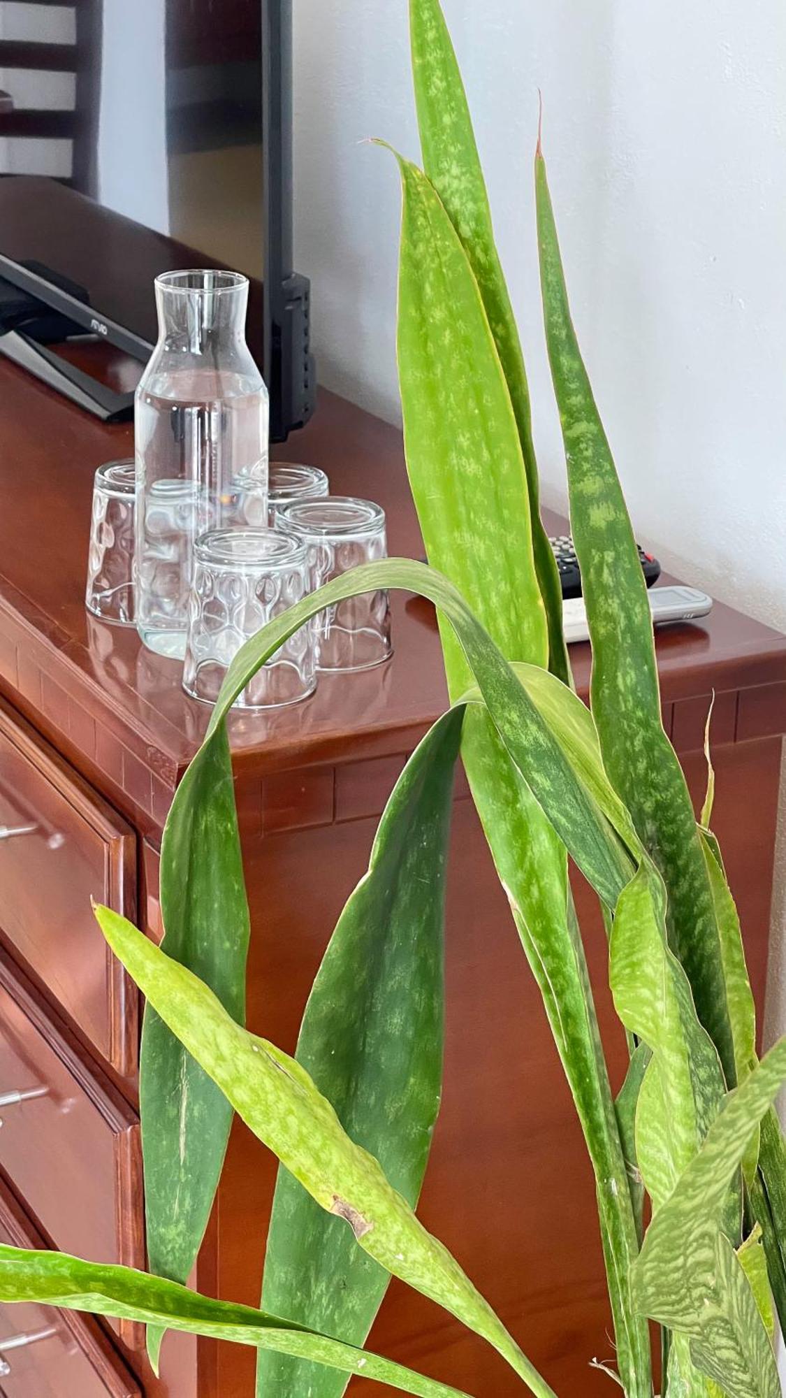 Quinta Alberto Boutique Hotel San Blas Extérieur photo